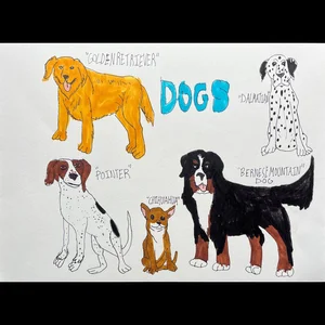 James Roll - Dog Breed Posters — ArtWorking